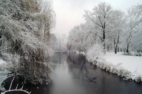 Tiergarten im Winter